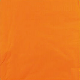 carton de 1200 (24 paquets de 50) serviettes en papier ouate 2 plis, 33x33 cm, mandarine